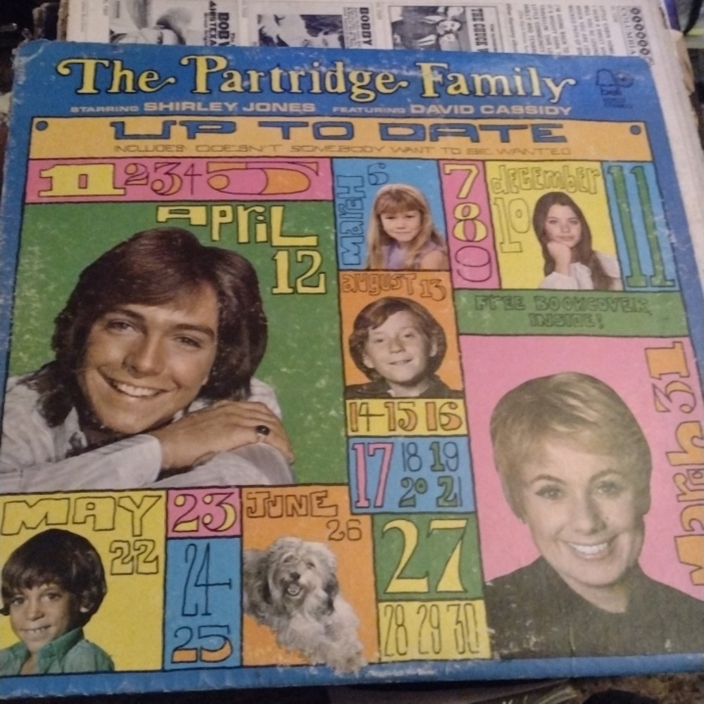 The Partridge Family LP